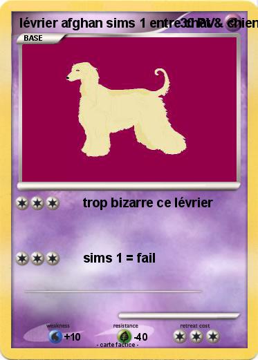 Pokemon lévrier afghan sims 1 entre chat & chien