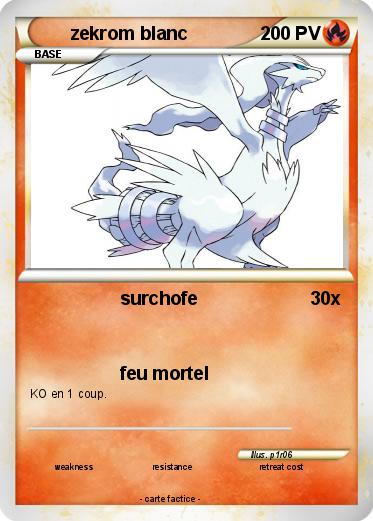 Pokemon zekrom blanc