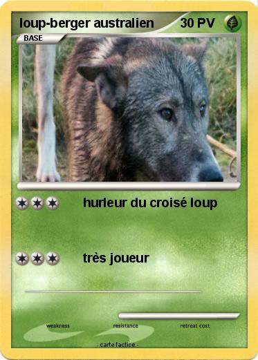 Pokemon loup-berger australien