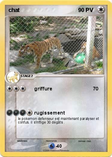 Pokemon chat 