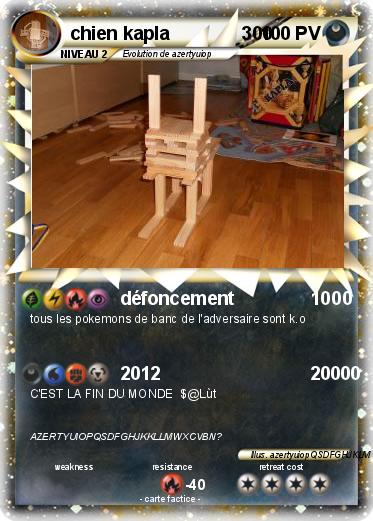 Pokemon chien kapla              300