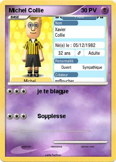 Pokemon Michel Collie