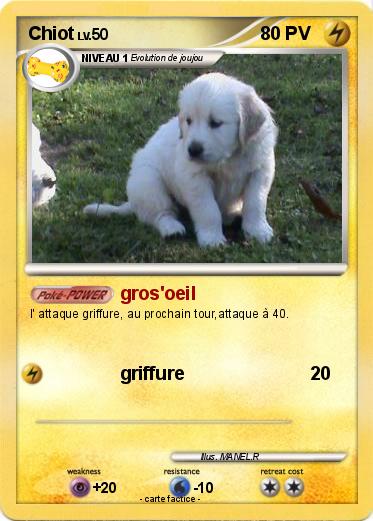 Pokemon Chiot