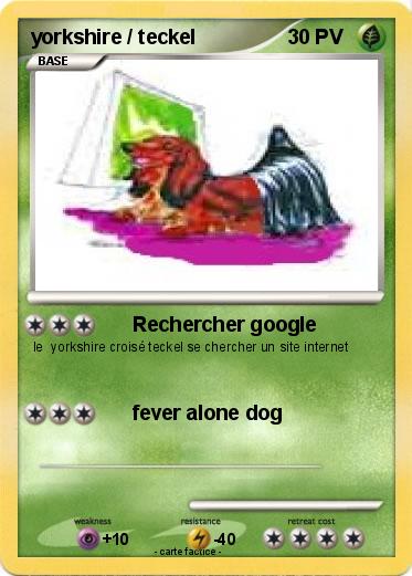 Pokemon yorkshire / teckel