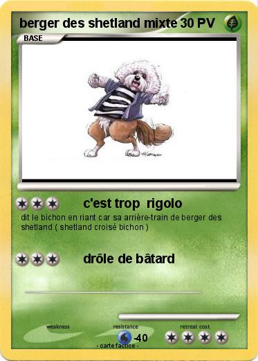 Pokemon berger des shetland mixte