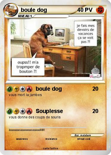 Pokemon boule dog