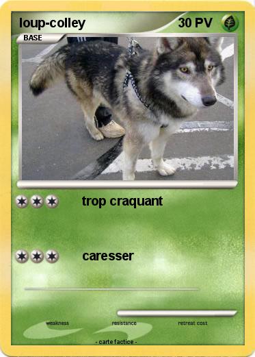 Pokemon loup-colley