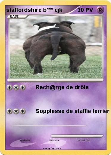 Pokemon staffordshire b*** cjk