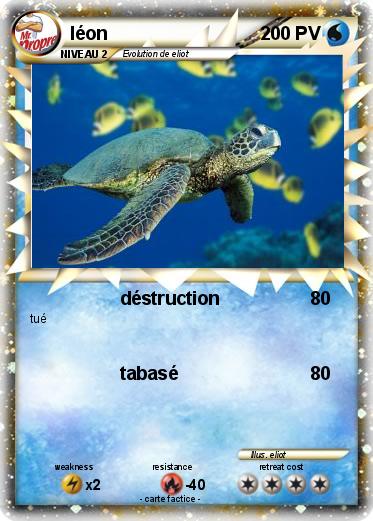 Pokemon léon