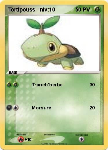Pokemon Tortipouss   niv:10