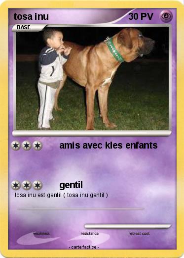 Pokemon tosa inu