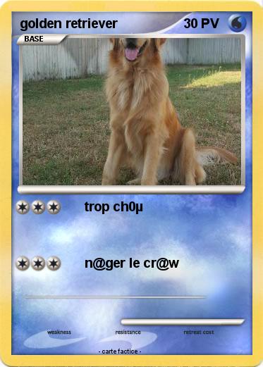 Pokemon golden retriever