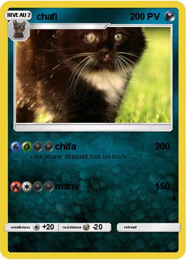 Pokemon chafi
