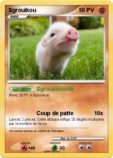 Pokemon Sgrouikou