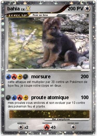 Pokemon bahia