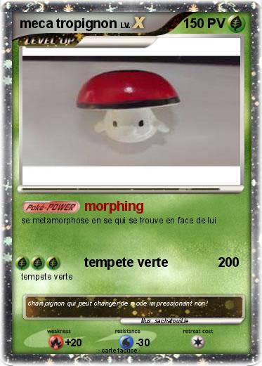 Pokemon meca tropignon