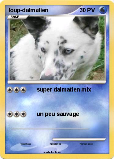 Pokemon loup-dalmatien