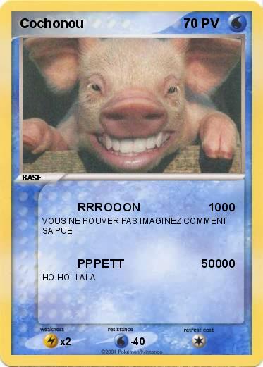 Pokemon Cochonou