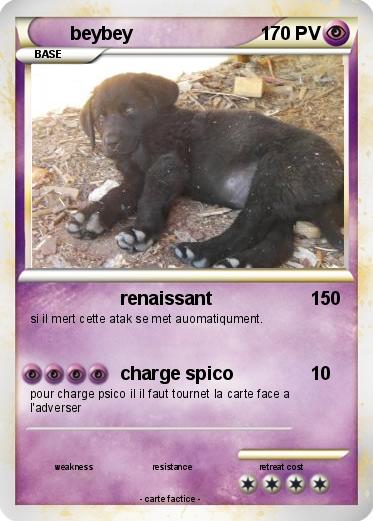 Pokemon beybey