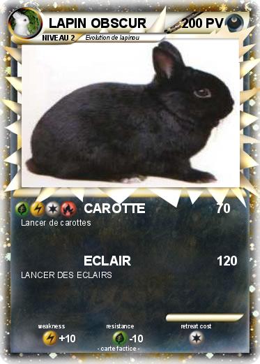 Pokemon LAPIN OBSCUR