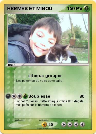 Pokemon HERMES ET MINOU