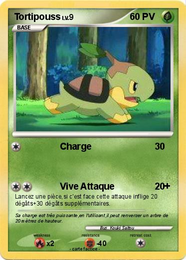 Pokemon Tortipouss
