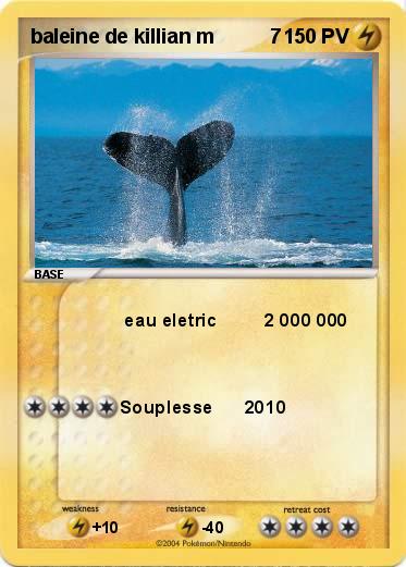 Pokemon baleine de killian m          7