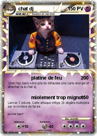 Pokemon chat dj