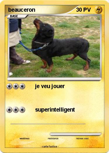 Pokemon beauceron