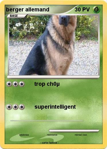 Pokemon berger allemand
