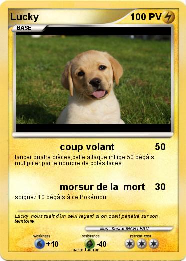Pokemon Lucky