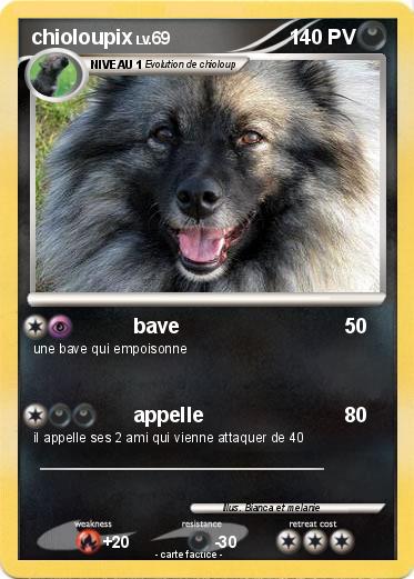 Pokemon chioloupix