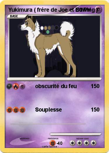 Pokemon Yukimura ( frère de Joe et Edwing )