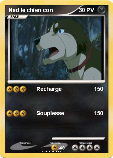 Pokemon Ned le chien con