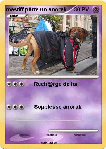 Pokemon mastiff p0rte un anorak