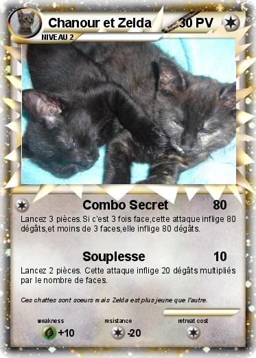 Pokemon Chanour et Zelda