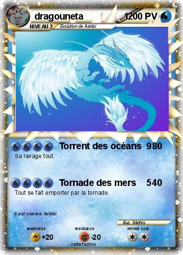Pokemon dragouneta                1