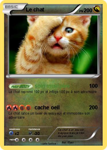Pokemon Le chat