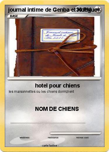 Pokemon journal intime de Genba et Hougue