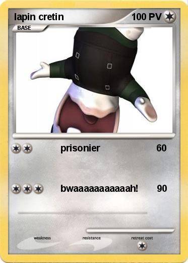 Pokemon lapin cretin