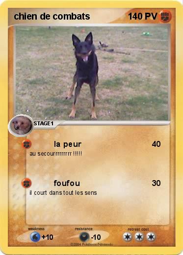 Pokemon chien de combats
