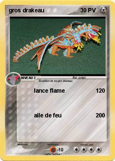 Pokemon gros drakeau