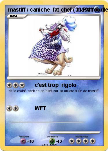 Pokemon mastiff / caniche  fat chef ( mastiffoodle )
