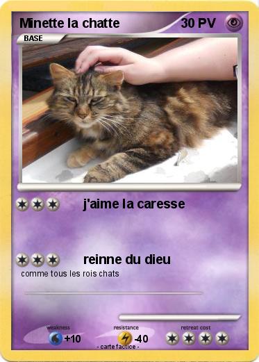 Pokemon Minette la chatte
