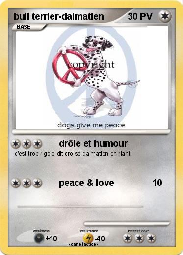 Pokemon bull terrier-dalmatien