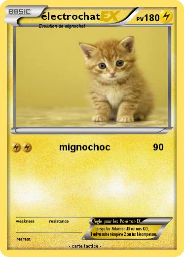 Pokemon électrochat