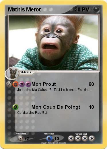Pokemon Mathis Merot