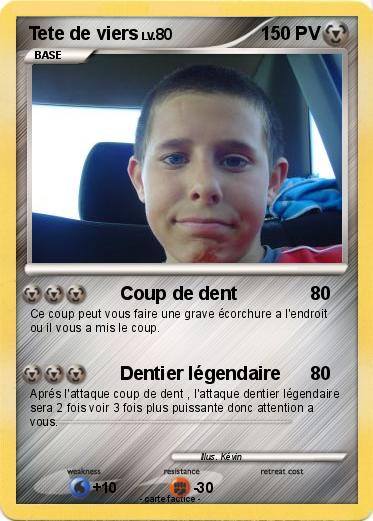 Pokemon Tete de viers