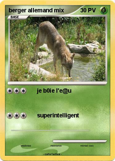 Pokemon berger allemand mix