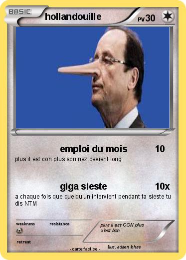 Pokemon hollandouille